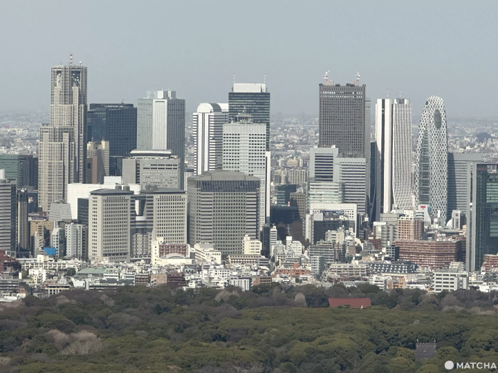 shibiya sky新宿景色