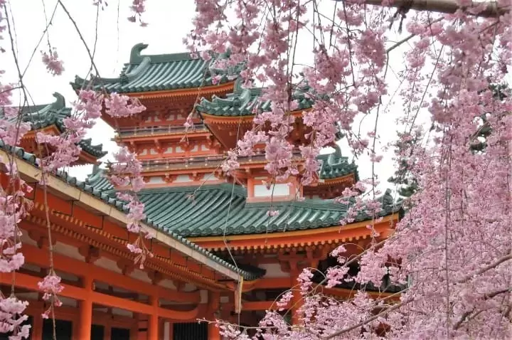 15 จุดชมซากุระบานยอดนิยมในเกียวโต 2026 (Kyoto)