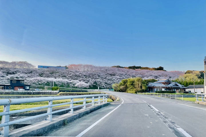 入住精心挑选的旅馆 Kinoiro Minimal，您可以欣赏田园诗般的风景和繁星点点的夜空——这是您四国之旅的必游之地！