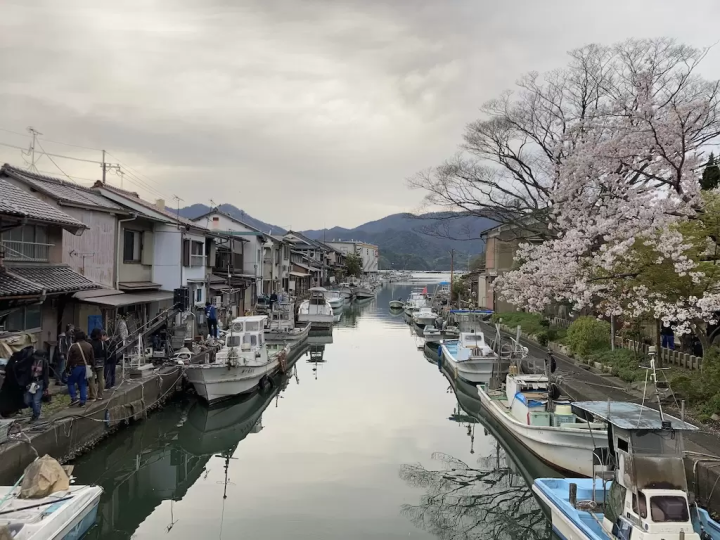 [ฉบับปี 2026] 8 จุดชมซากุระชื่อดังใน เมืองไมซูรุ จังหวัดเกียวโต ! แนะนำทั้งสถานที่ยอดนิยมและสถานที่ลับที่หลายคนยังไม่รู้จัก