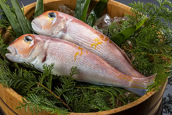 【福井縣】吃喝玩樂，帶回家！盡情享受大飯町的美食和特色紀念品。