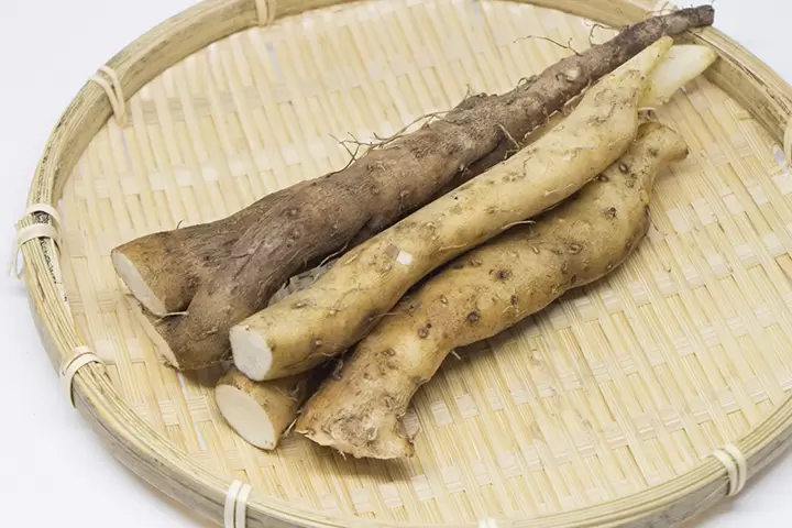 【福井縣】吃喝玩樂，帶回家！盡情享受大飯町的美食和特色紀念品。