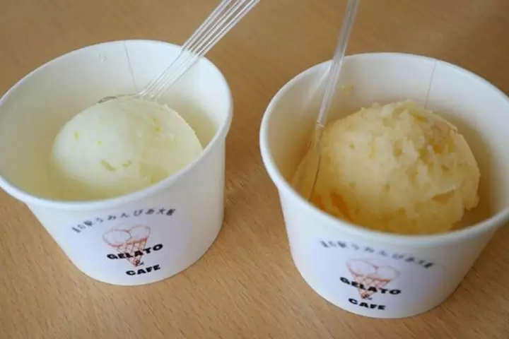 【福井縣】吃喝玩樂，帶回家！盡情享受大飯町的美食和特色紀念品。