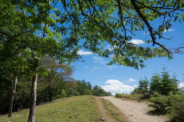 東京最高的山「雲取山」