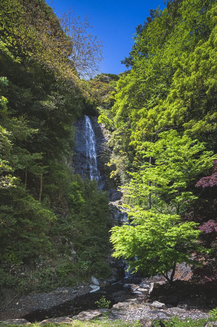 [เอฮิเมะ] เส้นทางปั่นจักรยานเพื่อสัมผัสธรรมชาติและมุ่งหน้าสู่ภูเขาศักดิ์สิทธิ์ซาซายามะในเมืองไอแนน