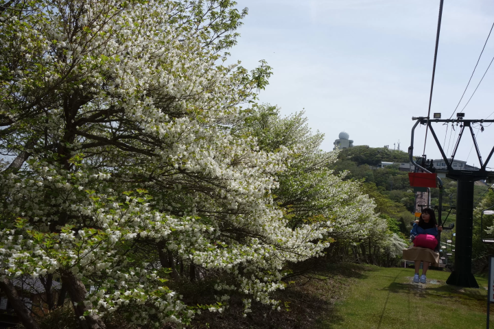 三重縣禦在丈山春遊 | 觀光索道、美食、賞花賞鳥