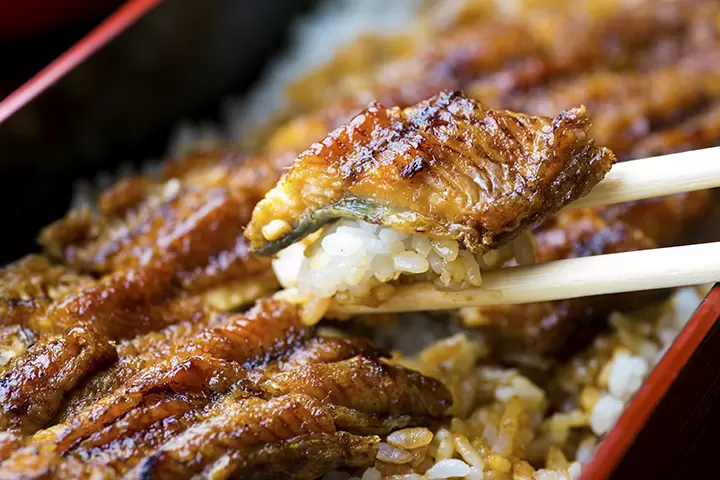 【福井縣】吃喝玩樂，帶回家！品嚐若狹町的美食和特色紀念品。