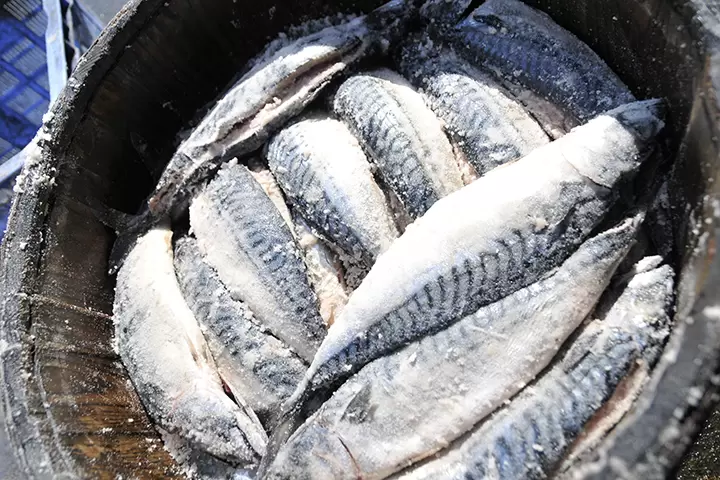 【福井県】食べたい!飲みたい!持って帰りたい!美浜町のグルメ・お土産を味わおう