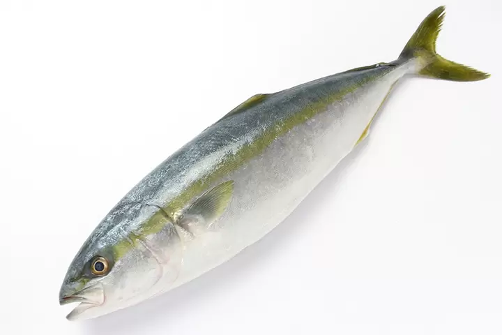 【福井県】食べたい!飲みたい!持って帰りたい!美浜町のグルメ・お土産を味わおう