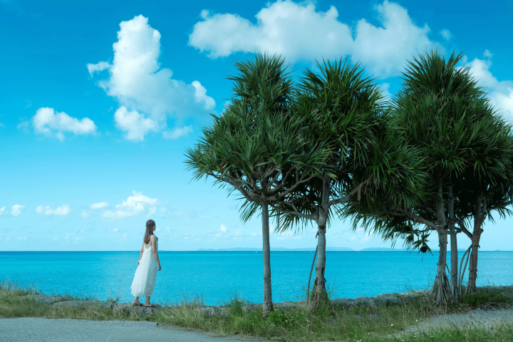 [오키나와] 나하 의 도시와 바다를 만끽하세요! 오키나와 의 두 호텔에서 특별 혜택이 포함된 럭셔리한 숙박을 즐겨보세요.