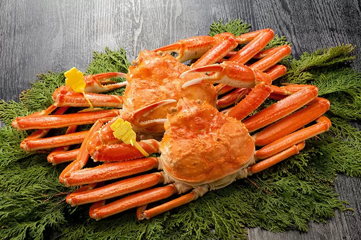 [จังหวัดฟุกุอิ] กิน ดื่ม และซื้อกลับบ้าน! เพลิดเพลินกับอาหารรสเลิศและของที่ระลึกจาก เมืองทสึรุกะ