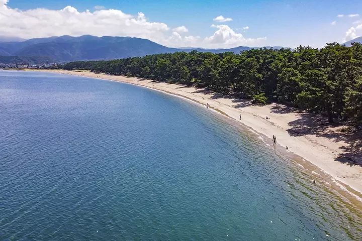 【福井縣】吃喝玩樂，帶回家！盡情享受敦賀市的美食和紀念品！