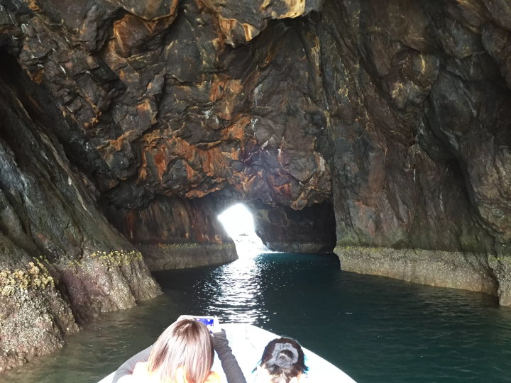 【愛媛】和愛南的漁民一起乘船出海釣魚吧！