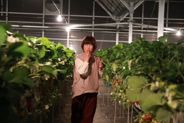 セントレアからすぐ！常滑で楽しむ いちご狩り体験&いちごスイーツガイド