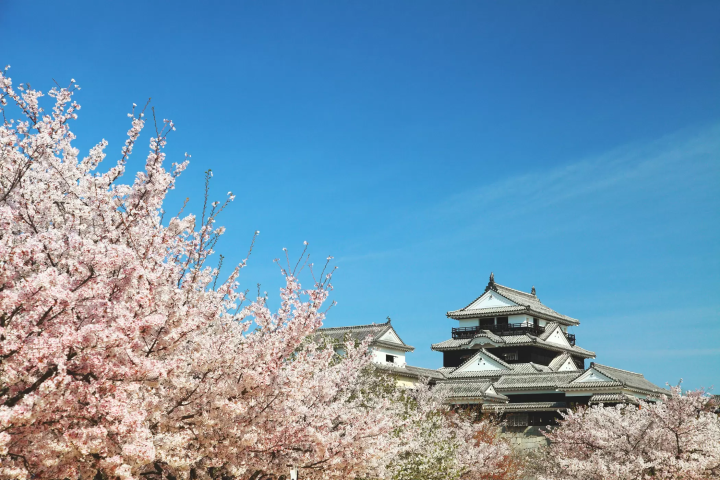 Easy, no-transfer trip! 2-day, 1-night trip to Dogo Onsen and Matsuyama Castle by express bus from OCAT