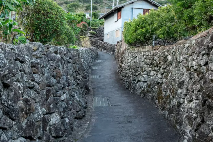 [คาโกชิมะ] สัมผัสเสน่ห์เมืองมินามิซัตสึมะอย่างเต็มที่! คู่มือชมความงามทางธรรมชาติและวัฒนธรรมของห้าพื้นที่