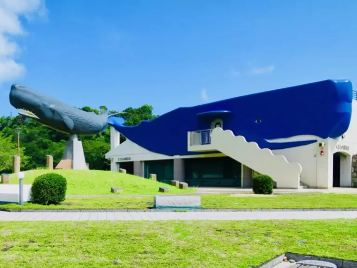 [คาโกชิมะ] สัมผัสเสน่ห์เมืองมินามิซัตสึมะอย่างเต็มที่! คู่มือชมความงามทางธรรมชาติและวัฒนธรรมของห้าพื้นที่