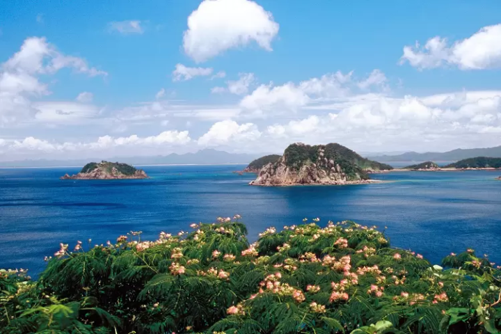 [คาโกชิมะ] สัมผัสเสน่ห์เมืองมินามิซัตสึมะอย่างเต็มที่! คู่มือชมความงามทางธรรมชาติและวัฒนธรรมของห้าพื้นที่