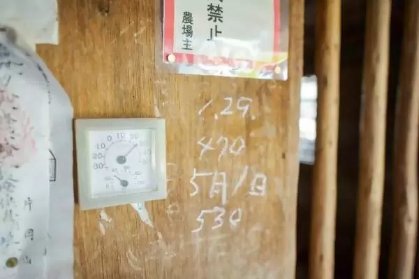 一位養牛71年、現年88歲的老人，拜訪了松阪牛肉的「神靈」。