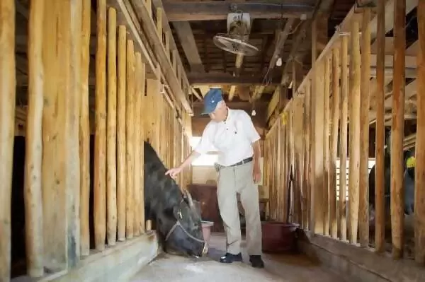 一位養牛71年、現年88歲的老人，拜訪了松阪牛肉的「神靈」。