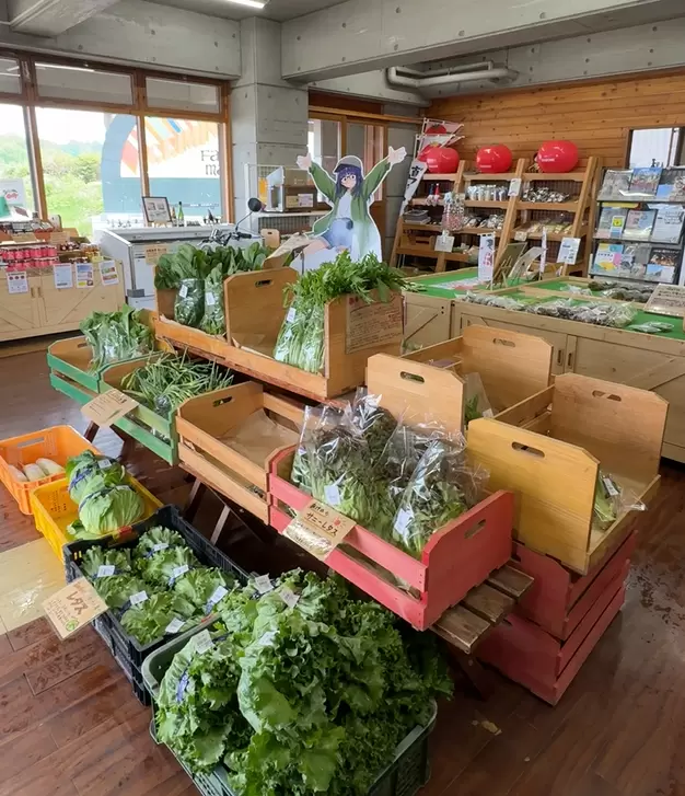 【2026年春季】山梨縣北杜市當地人推薦的春季十大必做之事！