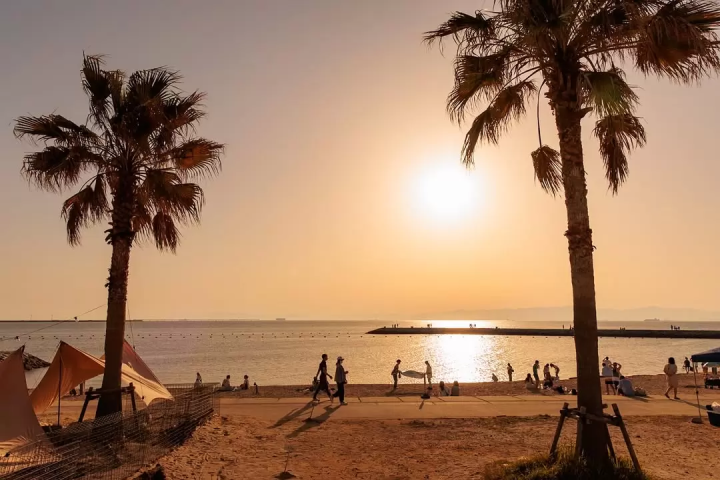 【期間限定！名古屋から30分！】必見！サンセットとイルミネーションがコラボ！！