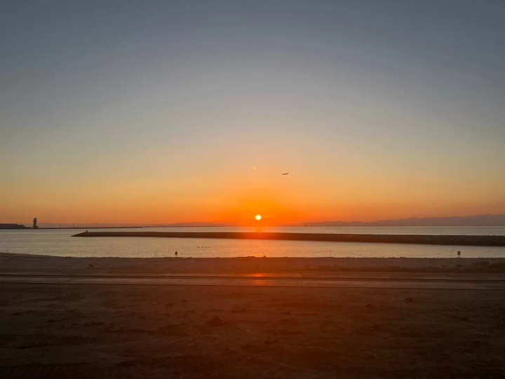 【期間限定！名古屋から30分！】必見！サンセットとイルミネーションがコラボ！！