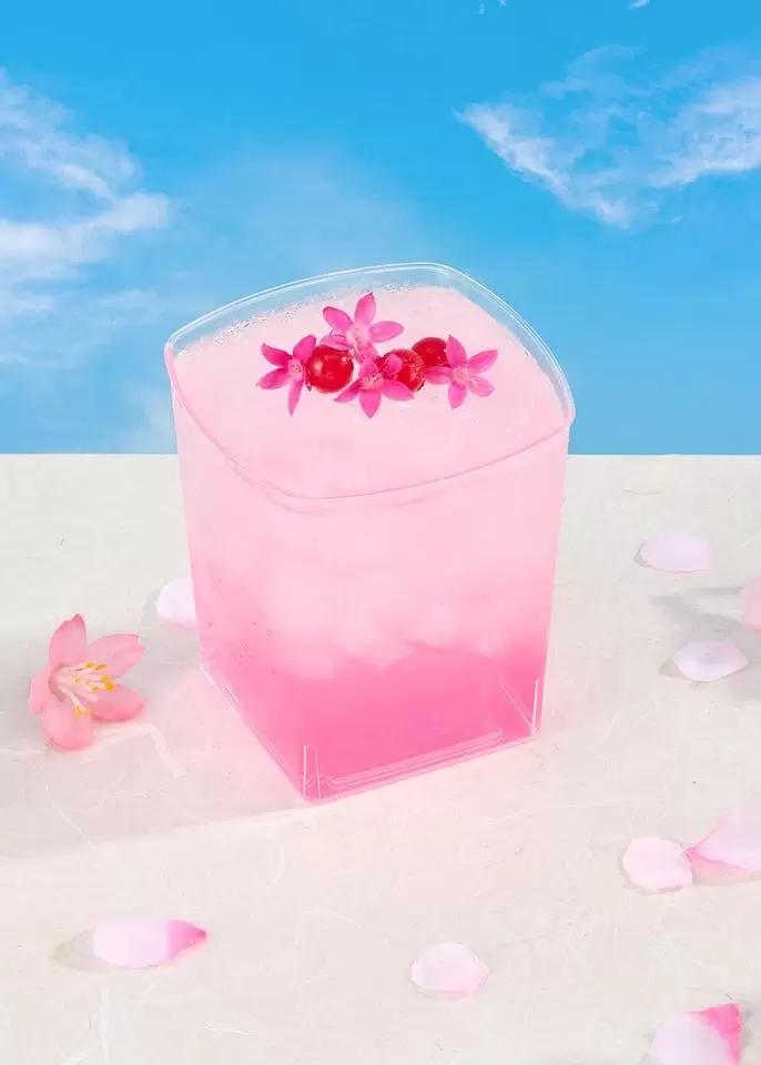 THE Sakura SKYTREE: Panoramic Views, Seasonal Food and Lights