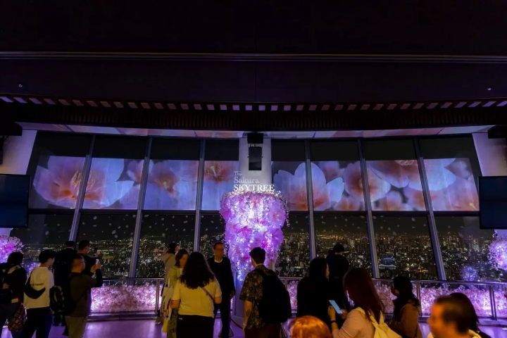 THE Sakura SKYTREE: Panoramic Views, Seasonal Food and Lights