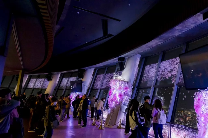 THE Sakura SKYTREE: Panoramic Views, Seasonal Food and Lights