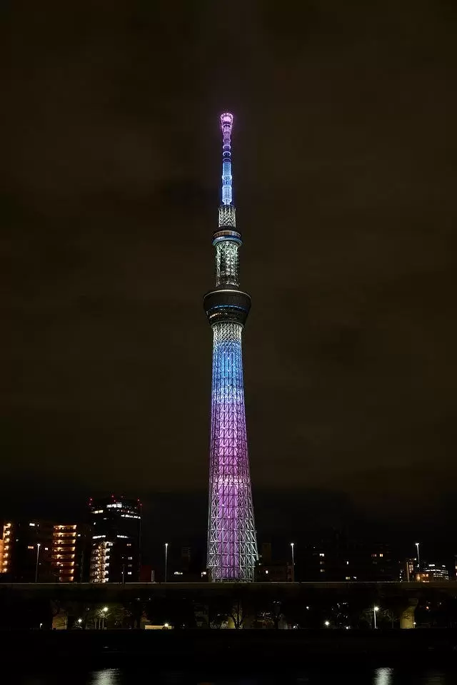 THE Sakura SKYTREE: Panoramic Views, Seasonal Food and Lights