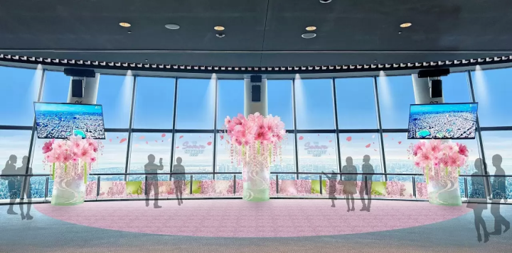 THE Sakura SKYTREE: Panoramic Views, Seasonal Food and Lights