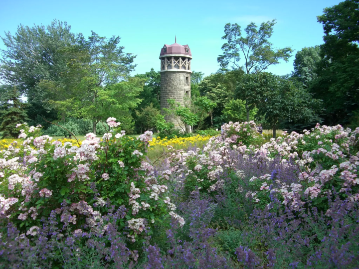 20个观赏日本春季花卉壮丽景色的景点！