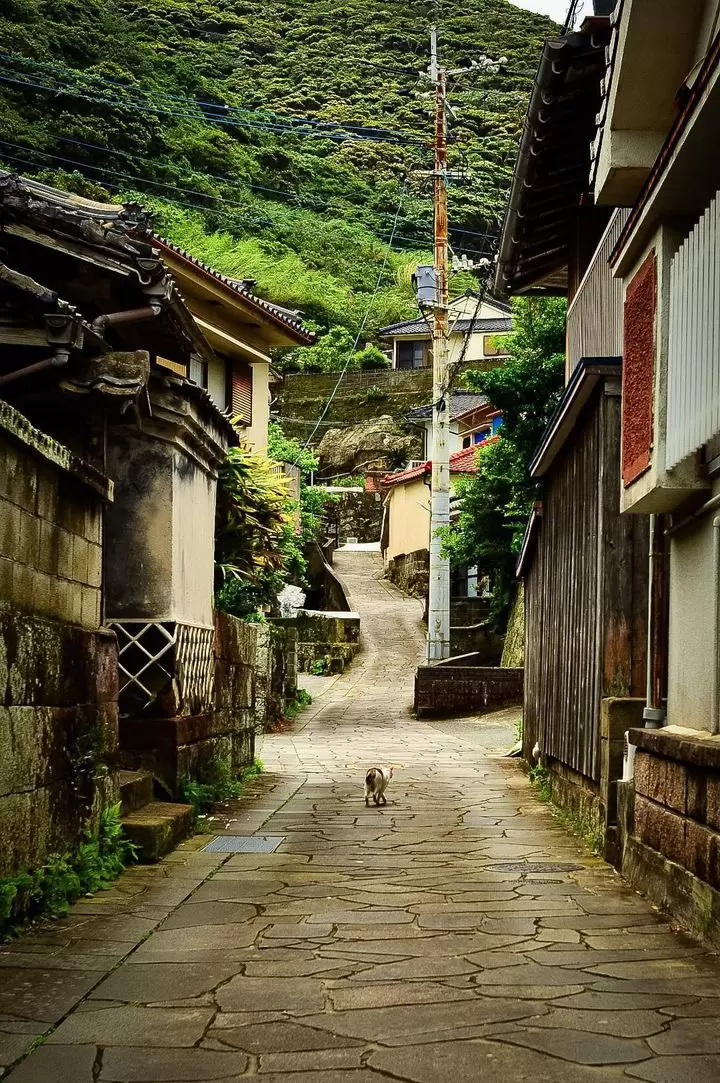 The strangest festival in Japan: "Oiseko" in Minamisatsuma, Kagoshima