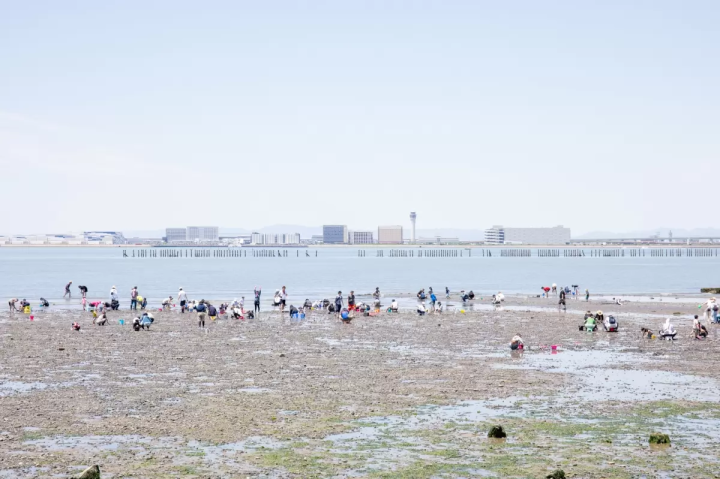 人们正在俯瞰机场岛的潮滩上捡贝壳。 