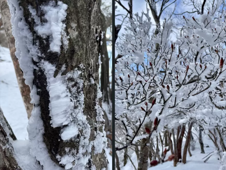 尽情欣赏三重县松阪市的壮丽全景！推荐给初学者的自然徒步路线。