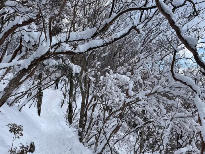尽情欣赏三重县松阪市的壮丽全景！推荐给初学者的自然徒步路线。