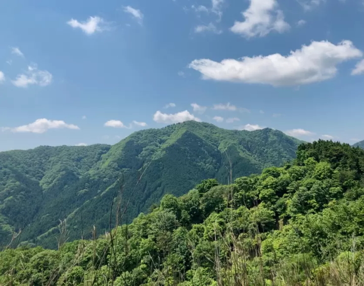 尽情欣赏三重县松阪市的壮丽全景！推荐给初学者的自然徒步路线。
