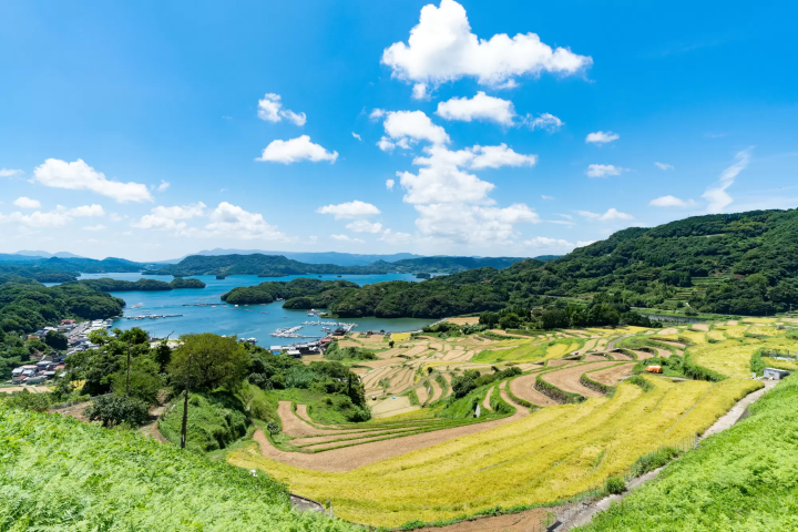 佐賀景點：大浦梯田