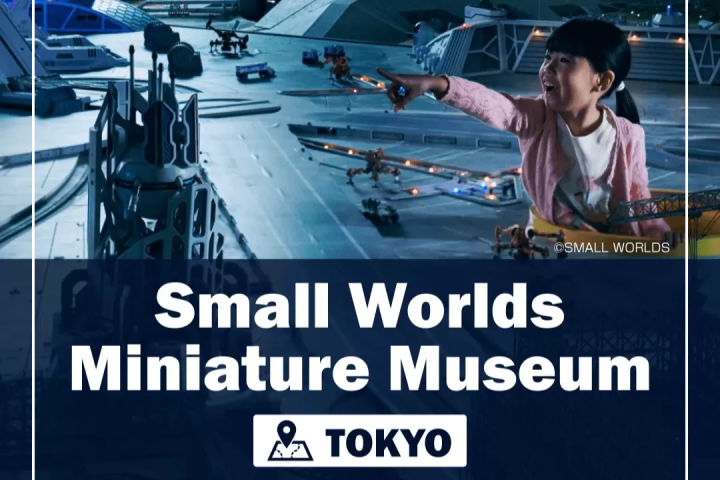 Small Worlds 迷你世界博物館