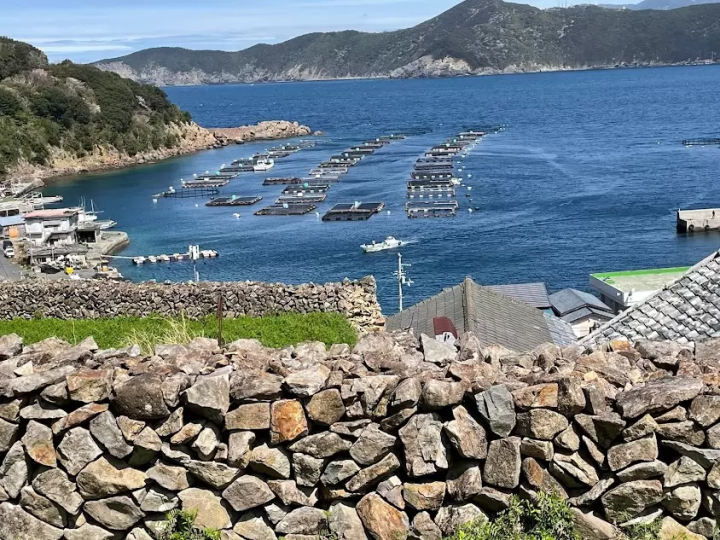 [Ainan Town, Ehime Prefecture, Shikoku] Local experience tours unique to the area have started!