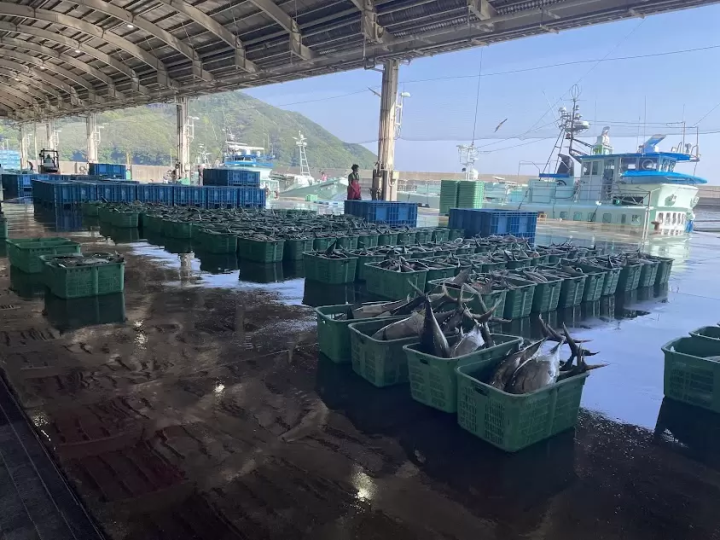 [Ainan Town, Ehime Prefecture, Shikoku] Local experience tours unique to the area have started!