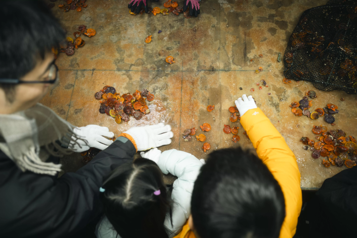 When you think of Ainan Town, you think of the sea! We visited a farm where they cultivate scallops. Everyone helped sort the colorful scallops by size. The vibrant colors of the shells are natural; no artificial coloring is used! 