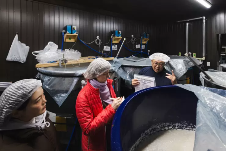 Savoring Hida Takayama: Woodcraft, Sake, and Local Cuisine