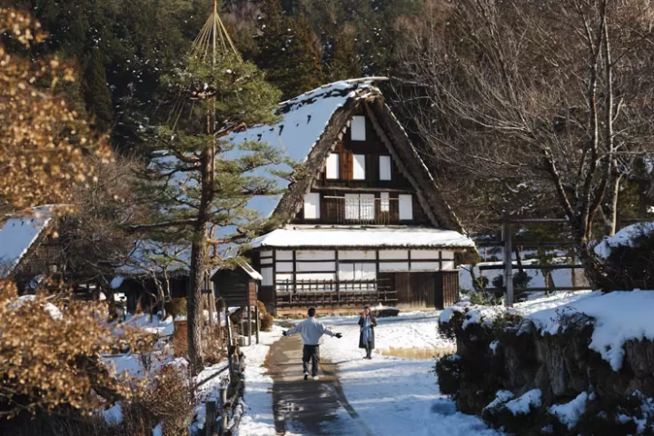 Savoring Hida Takayama: Woodcraft, Sake, and Local Cuisine