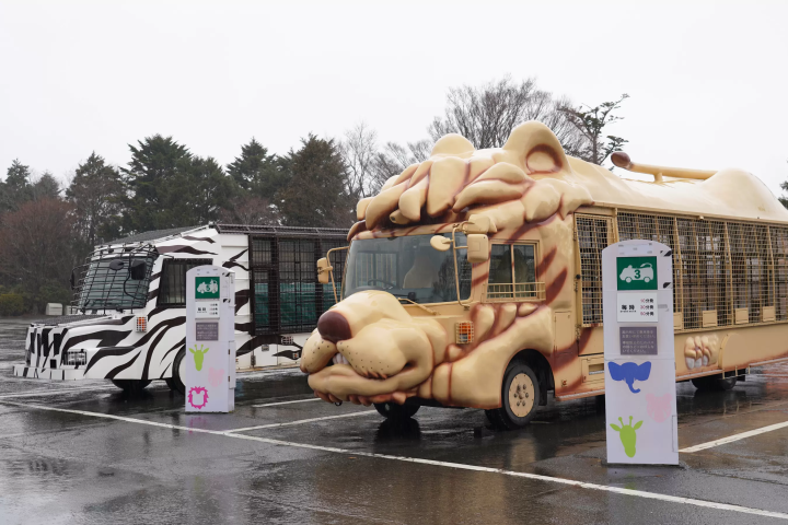 雨の日の「富士サファリパーク」の楽しみ方!