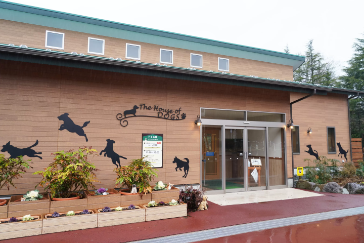 雨の日の「富士サファリパーク」の楽しみ方!