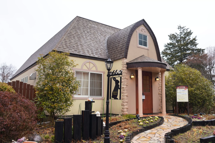 雨の日の「富士サファリパーク」の楽しみ方!