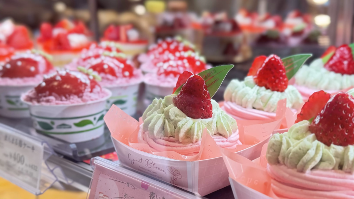 A day trip from Tokyo ! Visit famous cherry blossom spots and spring sweets and bakeries in Hokuto City , Yamanashi Prefecture