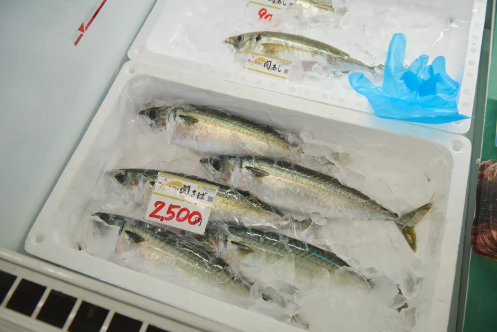 【大分縣，別府市】大分永續美食：從溫泉小鎮到海陸時令風味